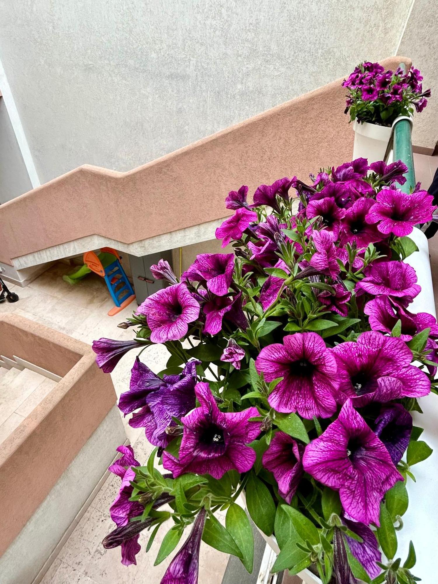 Marval Apartment Монополи Екстериор снимка
